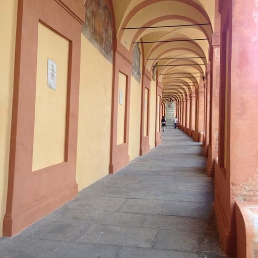 I lavori di “ ristrutturazione e restauro “ del Portico Monumentale di San  Luca